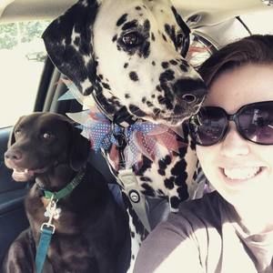 Meet your Posher, Kristen